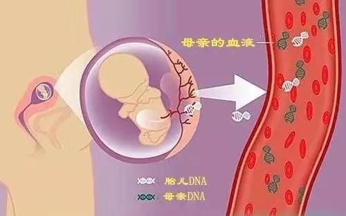 怀孕期间可以做北海亲子鉴定吗？